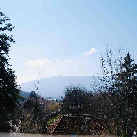 Maison 3 Chambres Au Lac D'Annecy, 30Min La Clusaz Menthon-Saint-Bernard Buitenkant foto