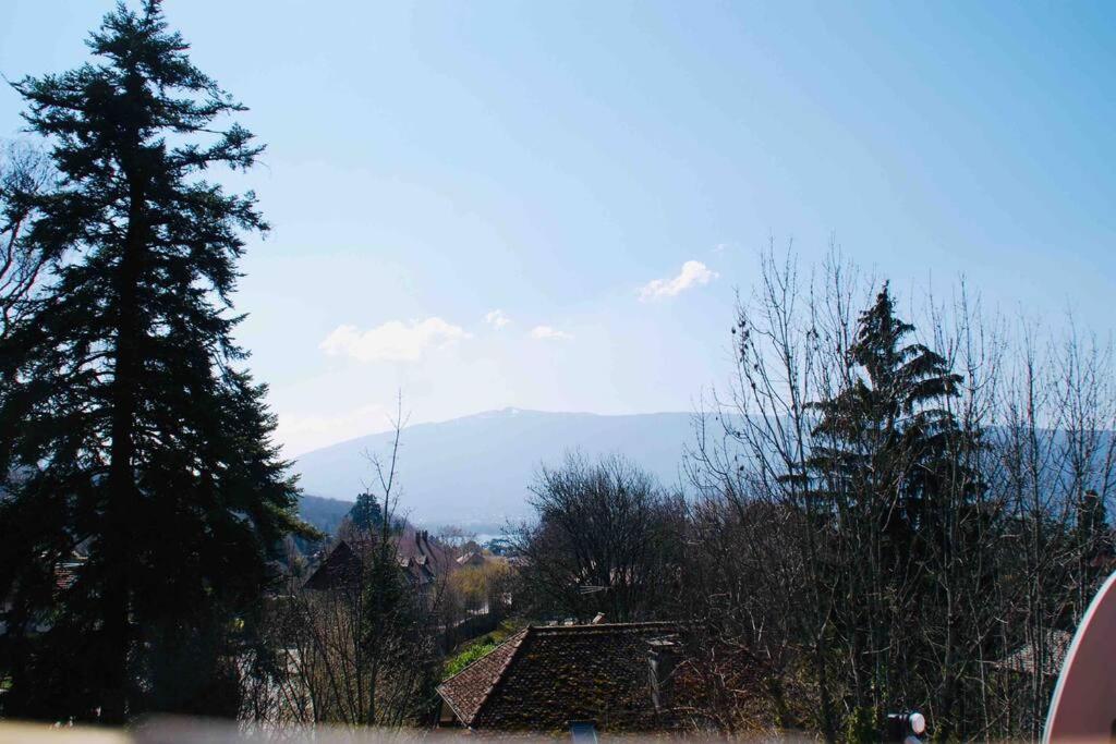 Maison 3 Chambres Au Lac D'Annecy, 30Min La Clusaz Menthon-Saint-Bernard Buitenkant foto