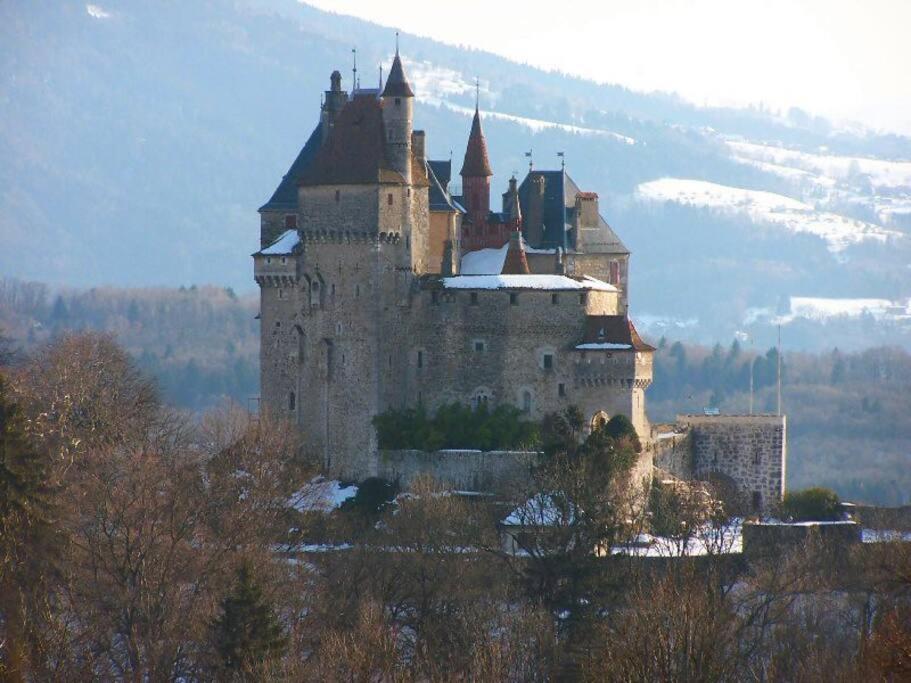 Maison 3 Chambres Au Lac D'Annecy, 30Min La Clusaz Menthon-Saint-Bernard Buitenkant foto