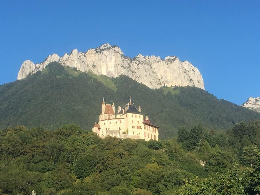 Maison 3 Chambres Au Lac D'Annecy, 30Min La Clusaz Menthon-Saint-Bernard Buitenkant foto
